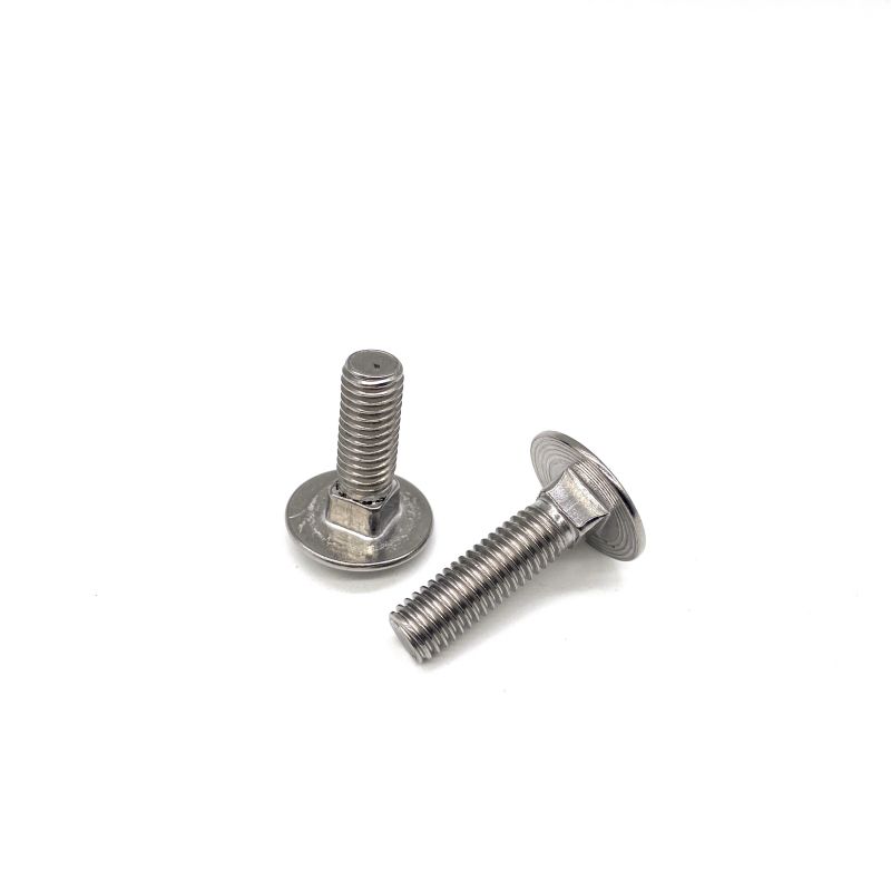 Stainless Steel Bolt na may Square Neck DIN603 M10 M12 Carriage Bolt